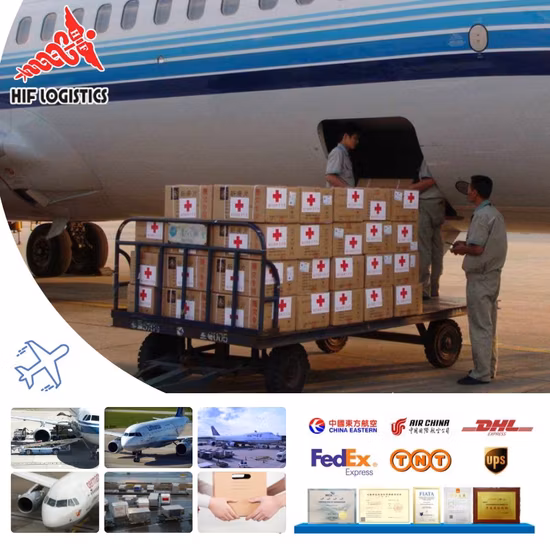 The Best Air /Sea Shipping Freight Forwarder From China to Canada with DDP/DDU